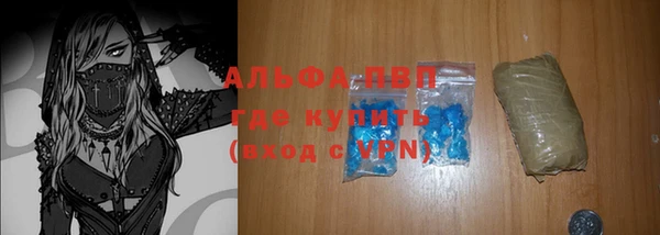 a pvp Бородино