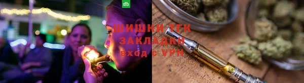 a pvp Бородино