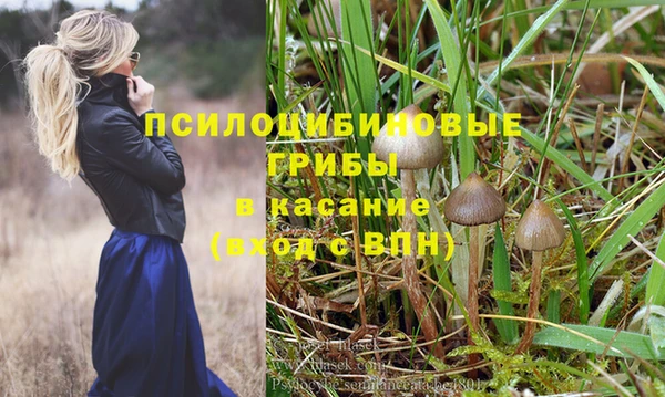 соль ск Бугульма