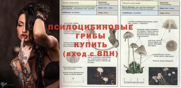 соль ск Бугульма