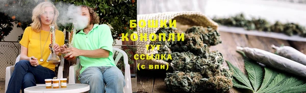 a pvp Бородино